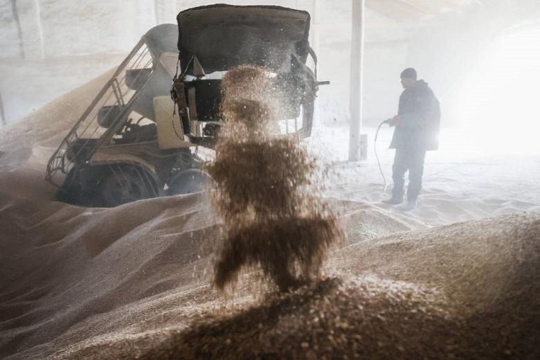 В интервенционный фонд РФ во вторник закупили 2,7 тыс. тонн зерна